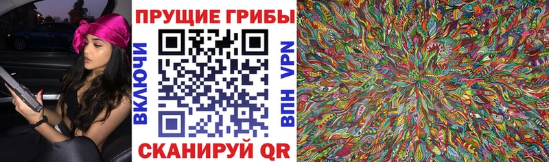 Галлюциногенные грибы Psilocybine cubensis  ссылка на мегу сайт  Сосенский 